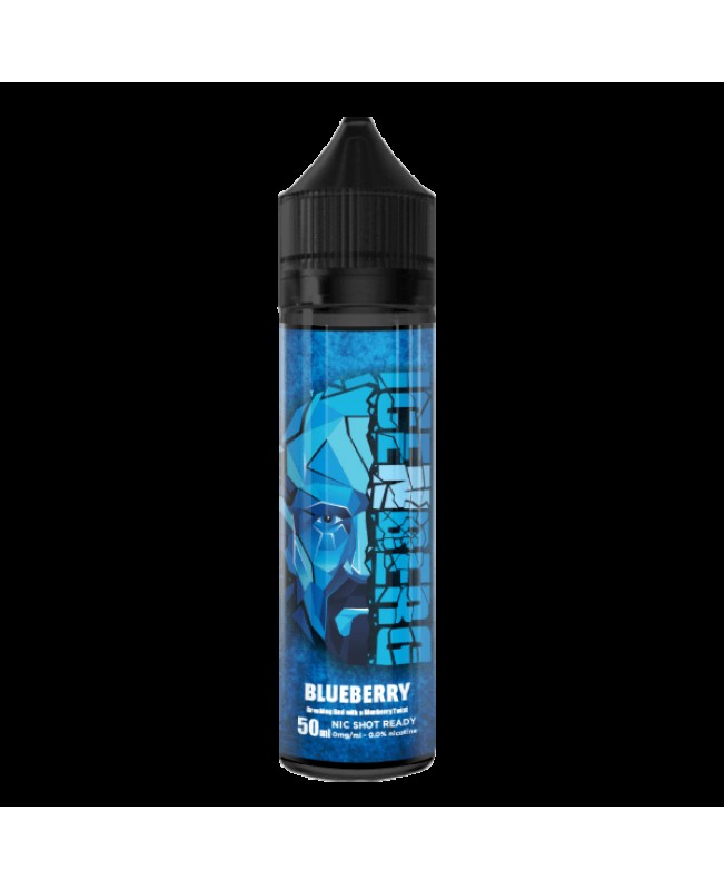 BLUEBERRY E LIQUID BY ICENBERG 50ML 70VG